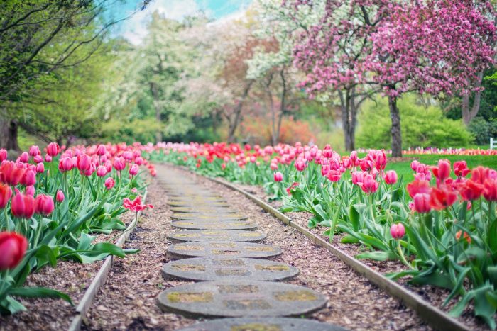 pathway-2289978_1920