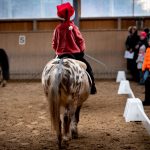 3_Adventmarkt Gut Fabricius_c_Linda Laimer