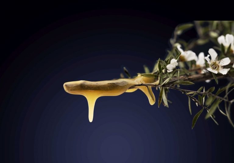 Honigsüss durch den Winter