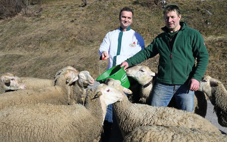 Original FERHAT Schaf-Naturjoghurt