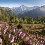 Groß (wandern_in_den_bergen_c_andrea_badrutt_hotel_belvedere)