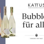 Kattus_Relaunch_Plakatwand_500x242_1zu10_SCR