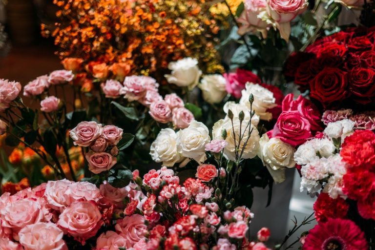 So hilft die Natur unserer Gesundheit