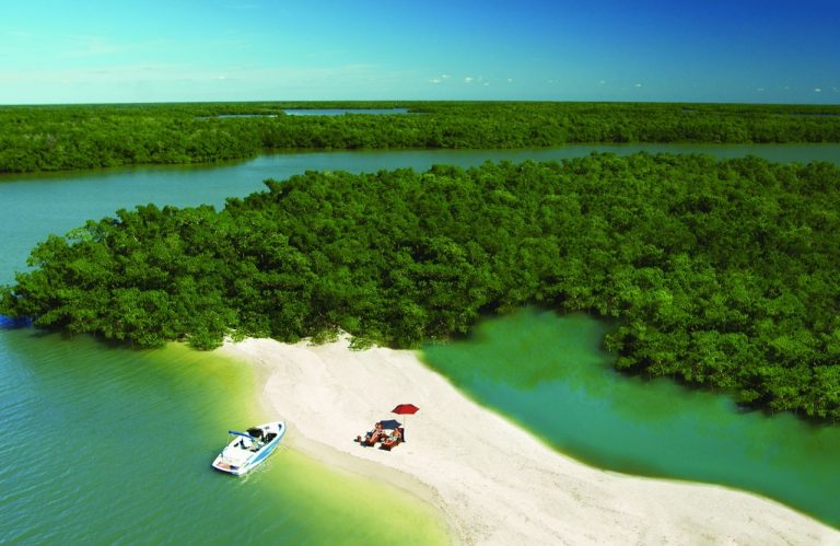 High Life meets Wildlife