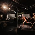 © Philipp Lipiarski / www.lipiarski.com