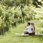 Groß (SHR_Krems_Exterior_Sport_1)