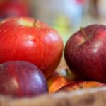 Pressefrühstück Biobauernladen Kremstal in Kirchdorf ad Krems