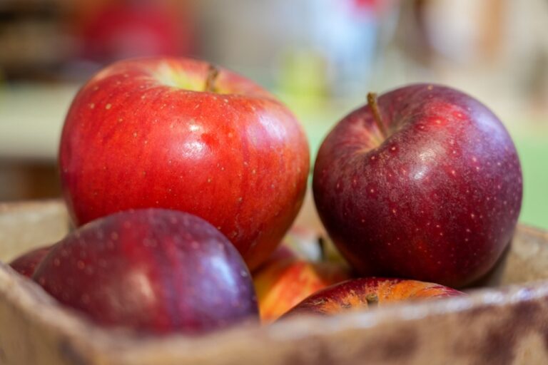 Bio, Boden, Bauchgefühl: Gesundheit beginnt im Feld