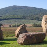 Groß (tm_landschaft_(c)_tenutamonteti_2023_uneingeschraenkt)