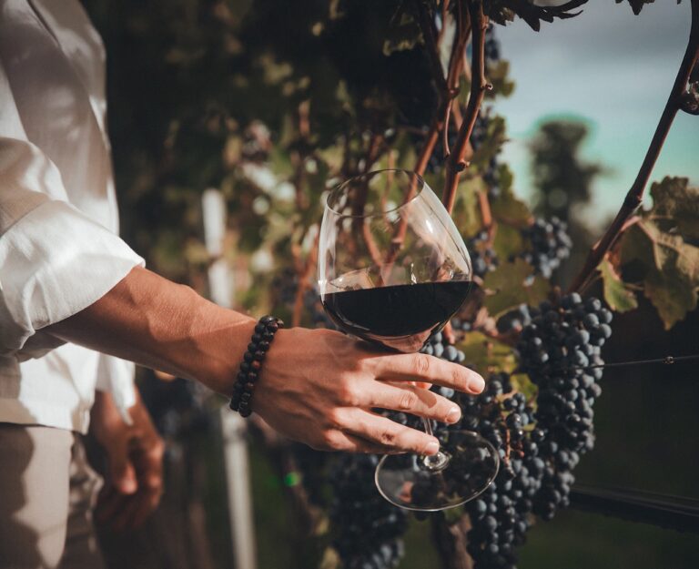 Von Weingut zu Weingut: Ein genussvoller Tag in Andau